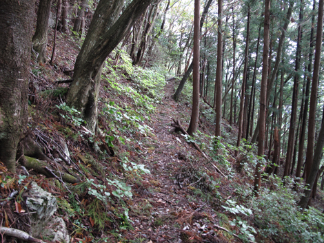 20181009hike (164)